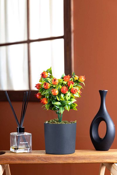 FH finehome Punica Μονόκλαδο Ρόδι σε Μαύρη Γλάστρα