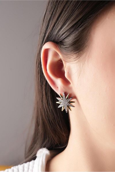 Çlk Accessories Steel Plate Stone North Star Earrings 35699