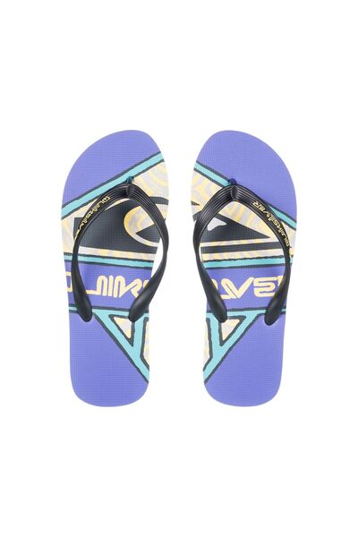 Quiksilver Molokai Screen Men's Slippers Men's Slippers Aqyl101427