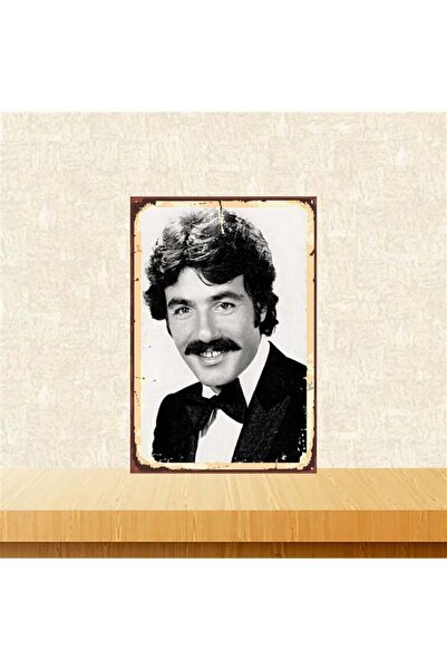 TAKIFİX Ferdi Tayfur 20-30 cm Retro Ahşap Poster