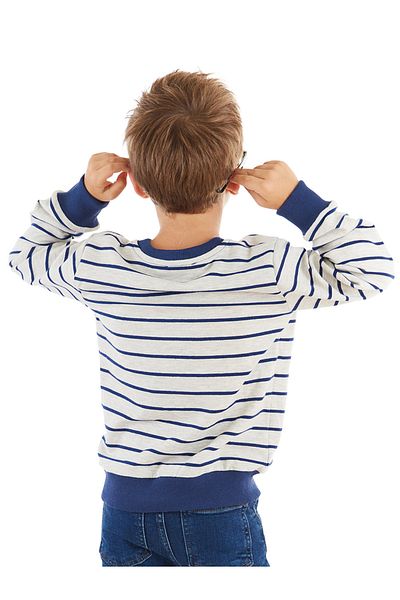Denokids Langärmliges gestreiftes Sweatshirt mit Fuchsmuster für Jungen