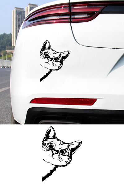 MIGNATIS ملصق نافذة السيارة بنمط القطة الجانبية - للكمبيوتر والشاحنة والدراجا...