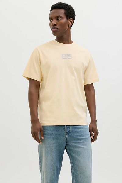 Jack & Jones Ανδρικό μπλουζάκι με στάμπα με λαιμόκοψη - Bladestination