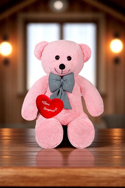 Canestar Special Design Large Plush Bear - I Love You with My Heart - the Most Special Gift for Your Lover