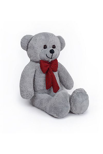 Canestar Special Design Large Plush Bear - I Love You with My Heart - the Most Special Gift for Your Lover