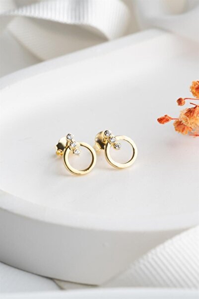 Silvano Jewelry 925 Ayar Gold Halka Gümüş Küpe