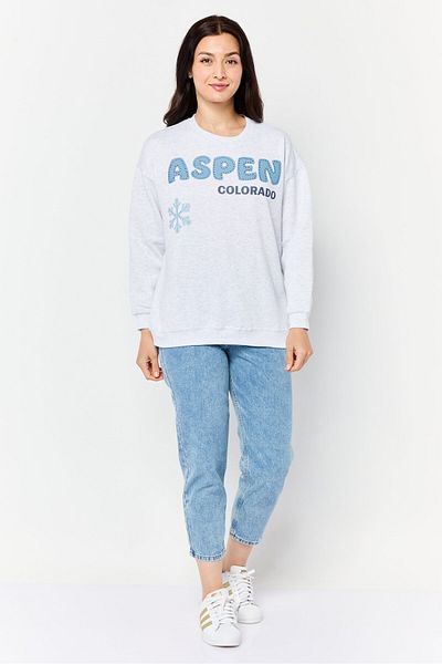 No Comment Women Crew Neck Long Sleeves Embellished Sweatshirt, Grey