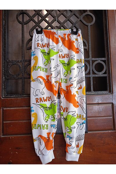 Teryy Dinosaur Printed Seasonal Pajamas
