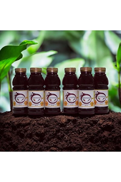 ATADAN ŞALGAM SUYU Katkısız,koruyucusuz,doğal 0,330 ml Acısız Şalgam Suyu (6 ...