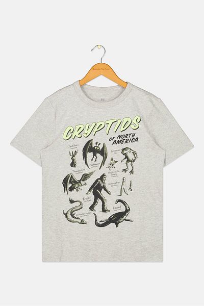 GAP Kids Boy Graphic Print Short Sleeves T-shirt, Grey