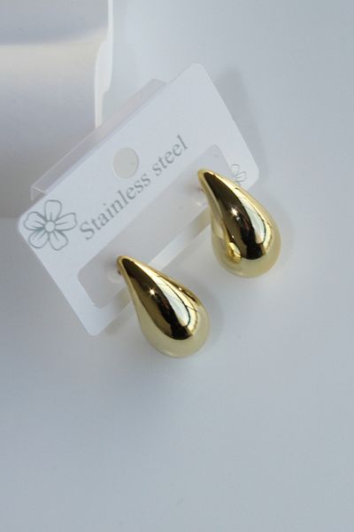 Leo'Stone Premium Series Polished Drop Model Women's Steel Earrings