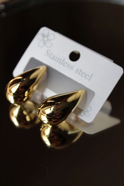 Leo'Stone Premium Series Polished Drop Model Women's Steel Earrings