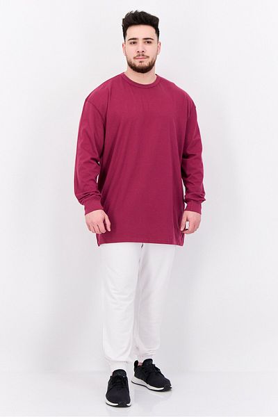Champion Men Sportswear Fit Brand Logo Long Sleeve Outdoor Sweatshirt, Burgundy