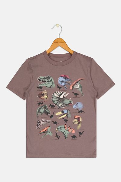 GAP Kids Boy Round Neck Short Sleeve Graphic Print T-shirts, Choco Brown