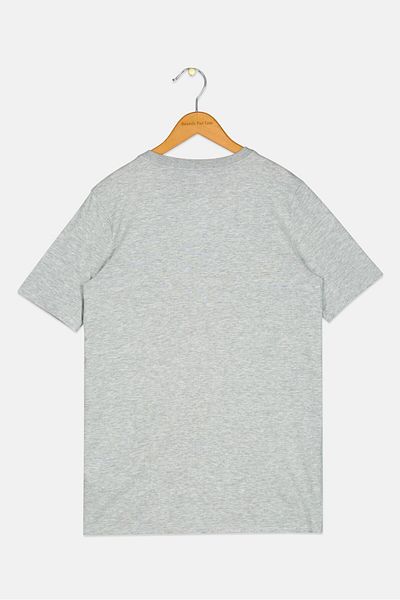 Nike X Nba Kids Boy Graphic Print Short Sleeve Outdoor T-shirt, Grey