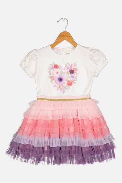 Miss Toddlers Girl Embroidered Layered Party Dress, Multicolor