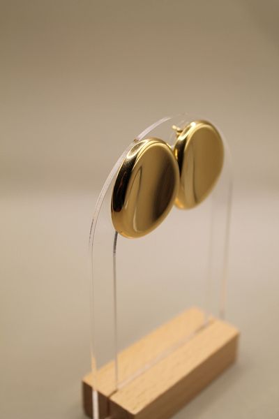 Luvix Design Gold Color Oval Steel Earrings