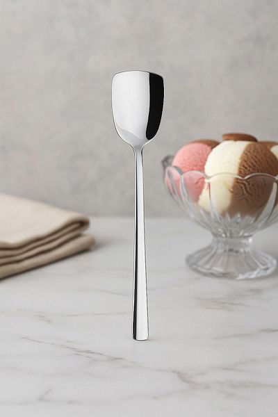 FİTHOME Stainless Steel Set of 6 Simple Stylish Ice Cream Spoons