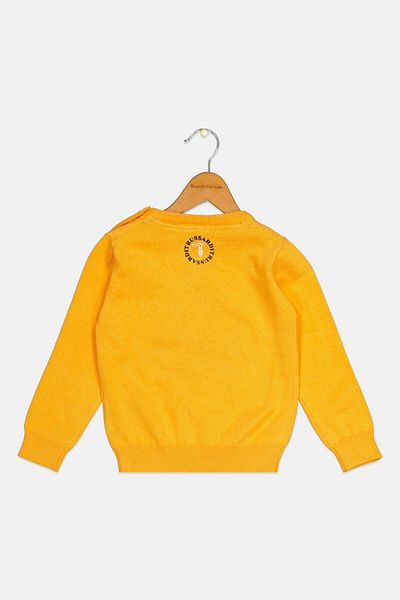 Trussardi Junior Toddlers Boy Ribbed Collar Long Sleeve Sweater, Orange/navy