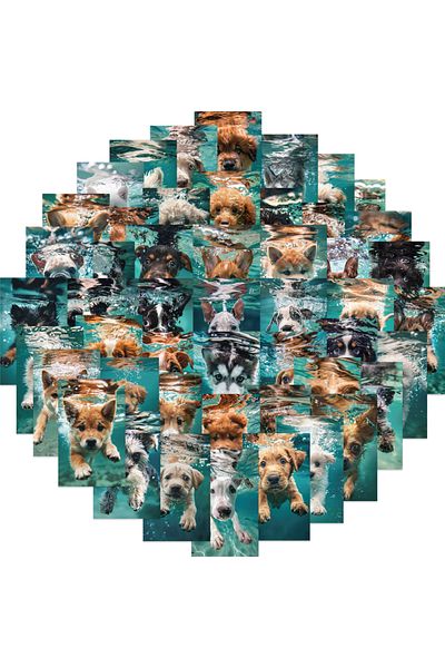 Choice 50PCS 50Pcs A little Puppy Waterproof Stickers Cartoon Dog Scrapbooking Diy Journaling Diary Station