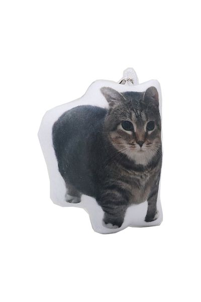 Choice 10cm WHITE 10cm Cute Cartoon Simulation Oiiai Cat Keychain Ugly and Cute Cat Plush Keychain Cartoon