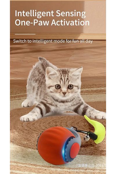 leyla sanat sanata yeni bir bakış açısı Animated Flower Cat Toy Model No: 24242425046