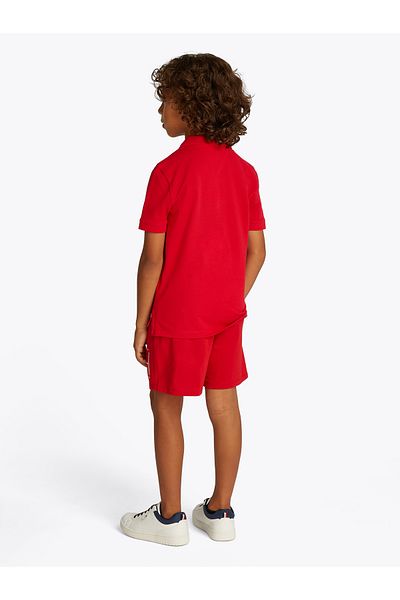 Tommy Hilfiger Tommy Hilfiger Boys Primary Red Flag Regular Polo T-Shirt