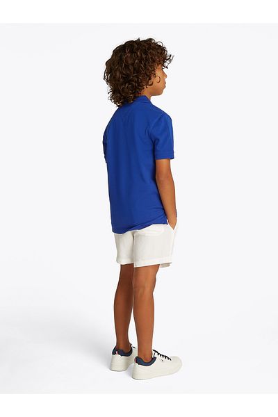 Tommy Hilfiger Tommy Hilfiger Boys Wedge Blue Flag Regular Polo T-Shirt