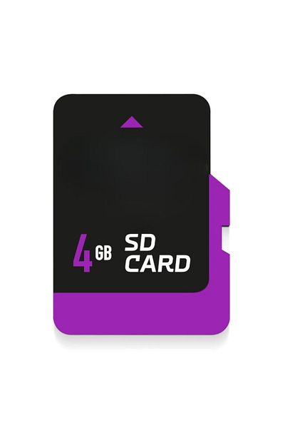 AL-TECH BİLİŞİM 4 GB Memory Card Adapter Included