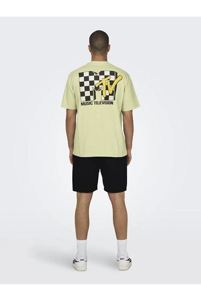 ONLY Men's O Neck T-Shirt 22029523