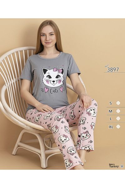 Rabi Shine Women's Printed Kissa Sleeve Pant Set