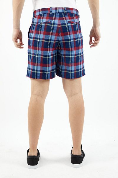 Lacoste Men Plaid Basic Shorts, Blue