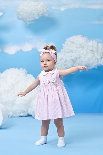 Miny Center Gingham Daisy Stripe Baby Girl Dress