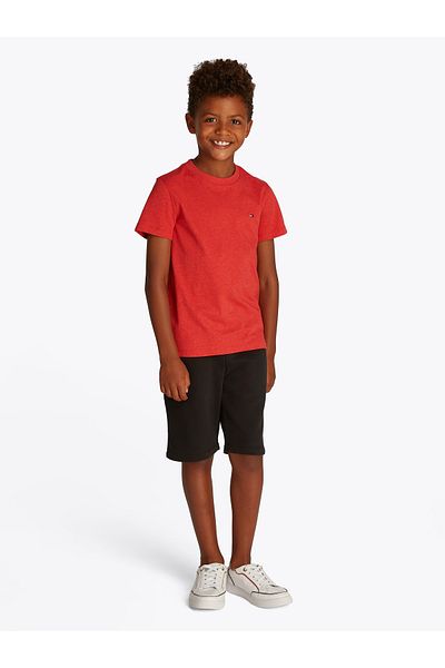 Tommy Hilfiger Tommy Hilfiger Boys Apple Red Heather Essential Organic Cotton Regular T-Shirt