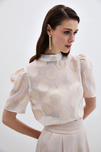 Sateen Well-Liked Organza Short Sleeve Blouse