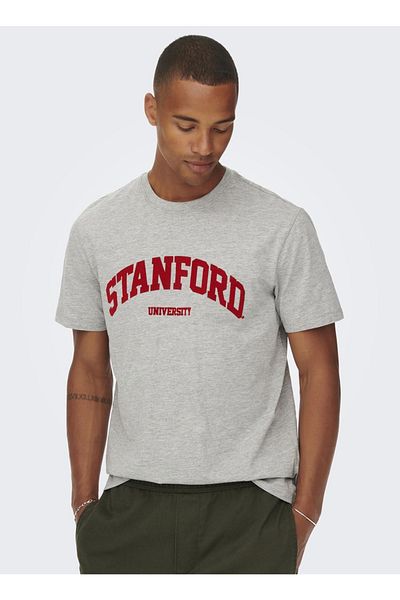 ONLY Men's T-Shirt 22023064