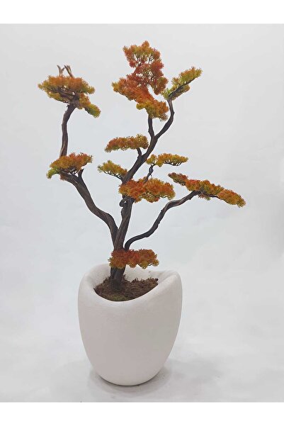 İremÇiçekçilik Dokulu karbonfiber saksıda Bonsai - Sonbahar