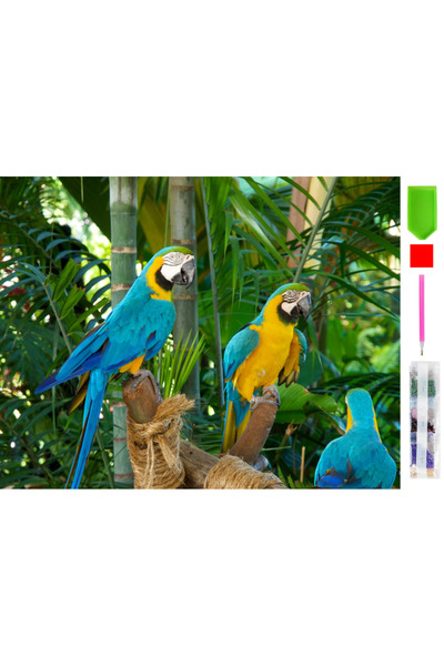 zola Goblen mozaic cu diamante, Zola, model papagali in natura, 30 x 40 cm