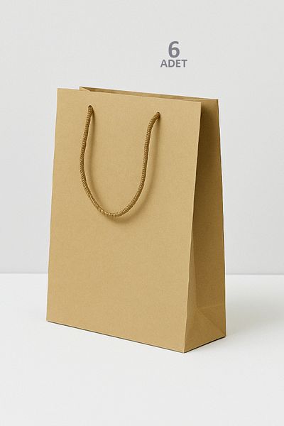 OLİ Art 25X38Cm Kraft Bag 6 Pcs Thick Bag Gift Bag