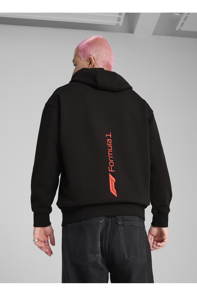 Puma 63012101 F1 ESS+ Graphic Hoodie PUM Kırmızı Kapüşon Yaka Regular Fit Düz Erkek Sweatshırt