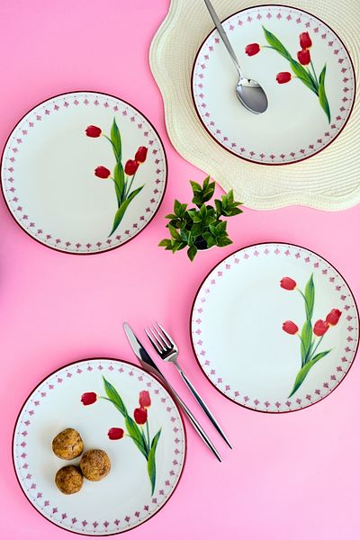 tabakevi Plate House Porcelain Tulip Canvas Cake Set with Rim 20 cm 4 Persons 4 Pieces Tvl4Ptprs1160