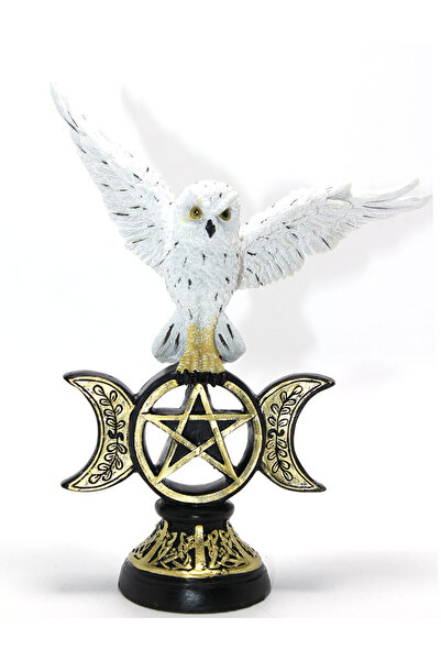 MEKs بومة البوليستر