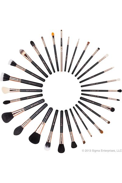 Sigma Extravaganza Professional Copper Brush Set