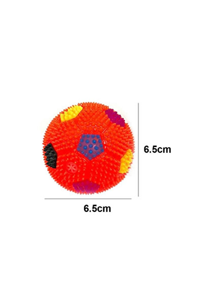 mywarehouse Işıklı Sesli Kedi Ve Köpek Topu