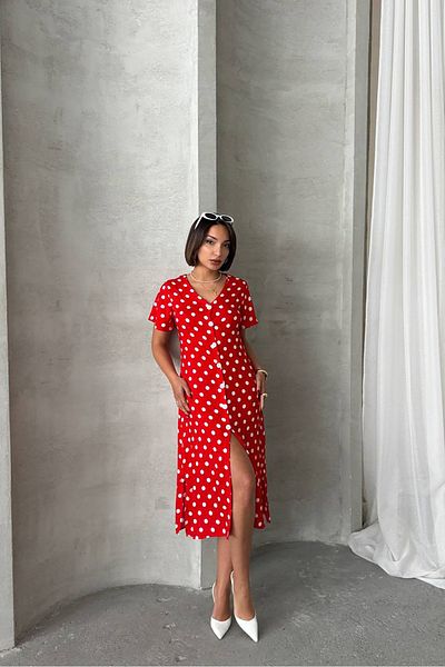 Neşeli Butik Women Viscose Polka Dot Print Shirt Dress Nbg083