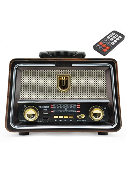 Denx Dx2442 Rechargeable Hi-fi Radio With Remote Control, Large Capacity Battery