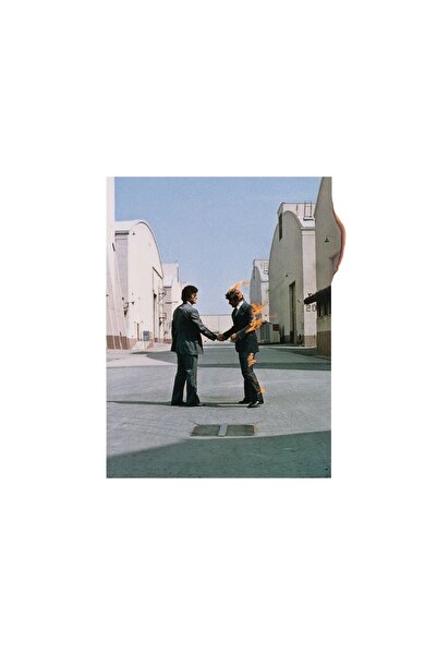 Pal CD - Pink Floyd / Wish you were here (plak değildir 2 CD)