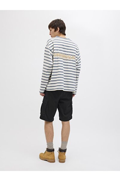 Jack & Jones Jpstcole Cargo Shorts 12268266