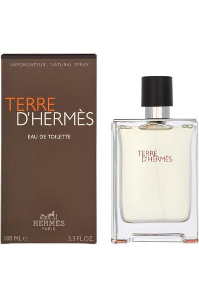 Hermes Terre D Men's Edt 100ml