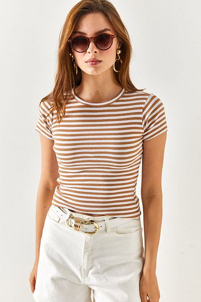 Olalook Women's Camel Striped Lycra Crop Blouse BLZ-19002351